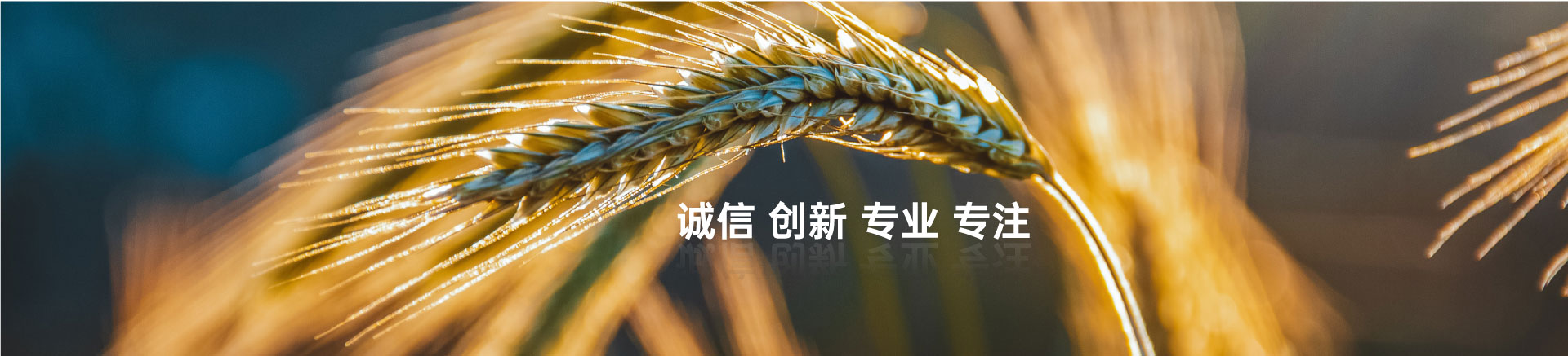 顧客至上,信譽(yù)第一